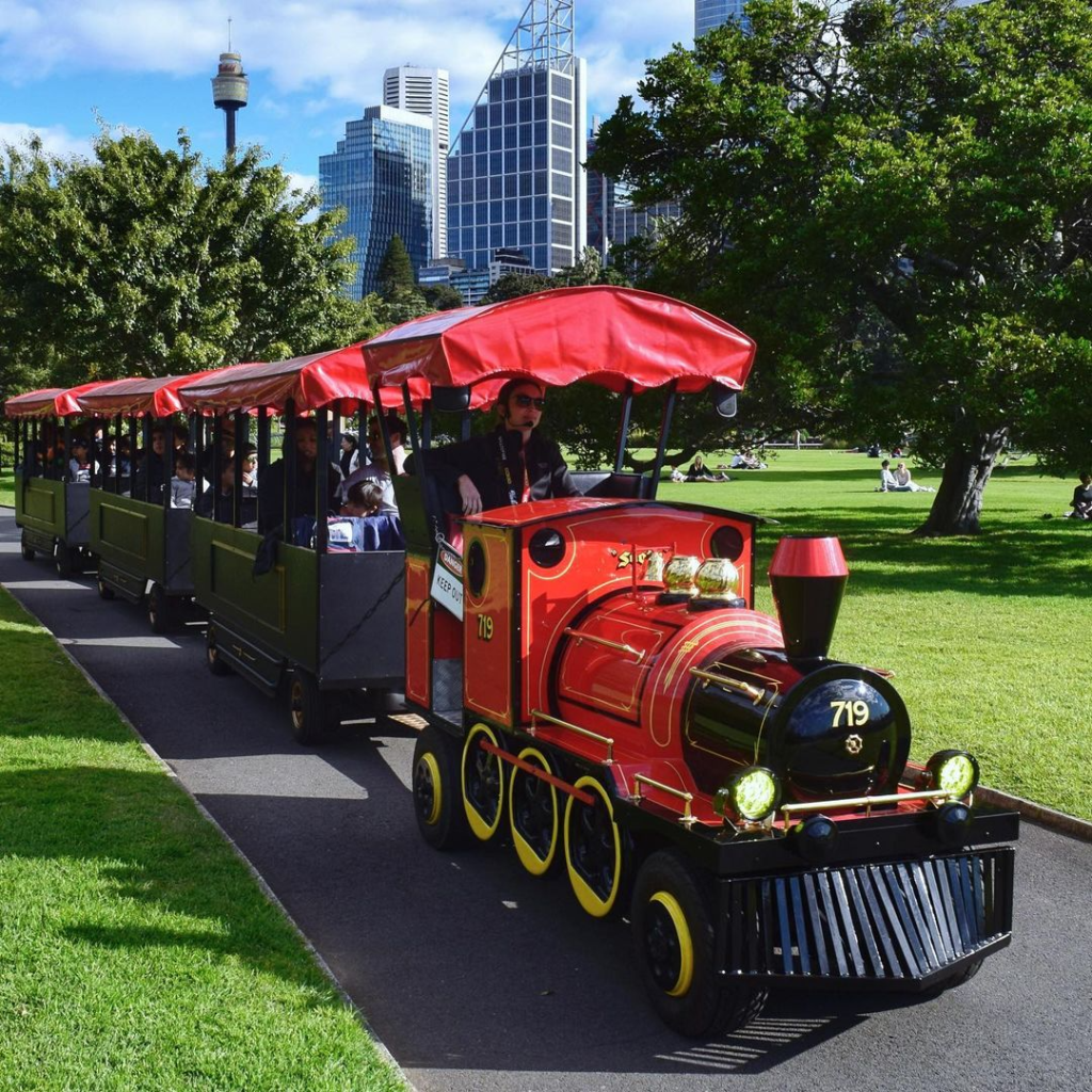 Electric Trackless Train Rides Manufacturers